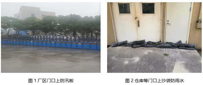 香港正版免费资料大全